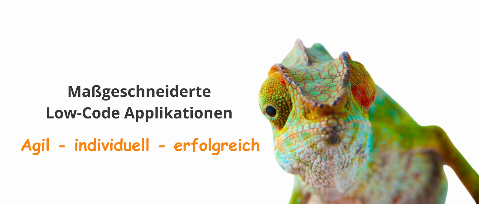 Header: Maßgeschneiderte Low Code Applicationen Agil - individuell - erfolgreich